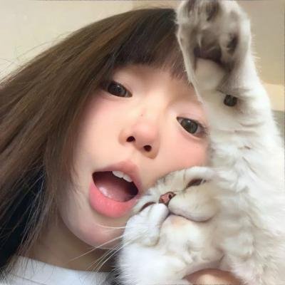 翼龙