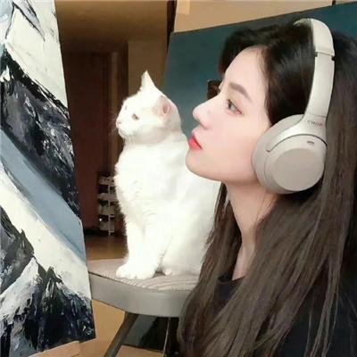 侦探韩森
